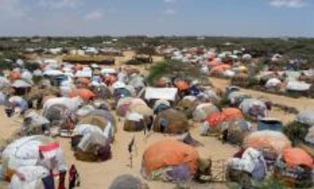 294 refugees arrive from Myanmar, Somalia, Ukraine, and Former Soviet Union