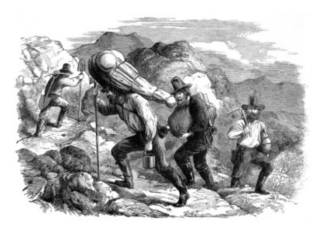 Migration to New Zealand