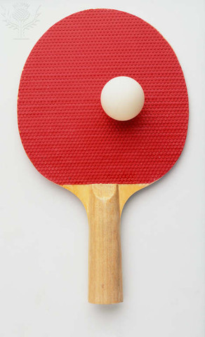 Amalie liked playing ping pong