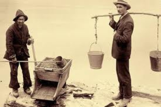 Chinese On The Goldfields