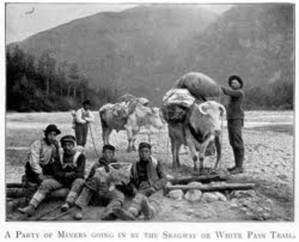 Gold Discovery At Alaska