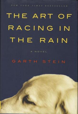 The Art of Racing in the Rain by Garth Stein