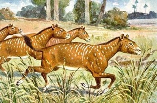 Comienza el Jurásico