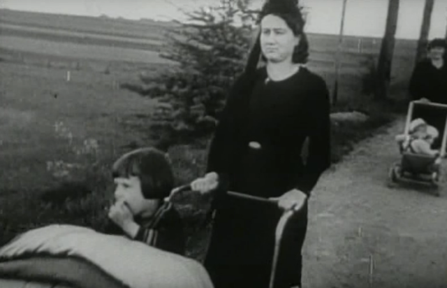 Le Chagrin et la pitié