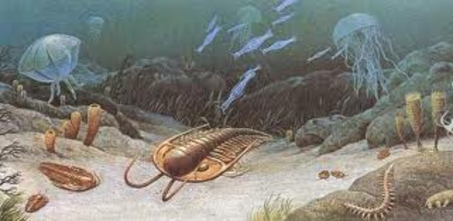 Comienzo de la era paleozoica