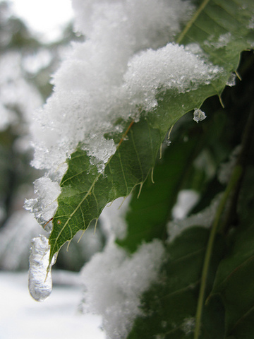 Possible record breaking snowstorm