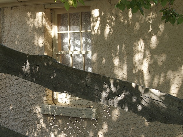 Geologists Find Gold Near Hartley