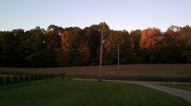 Timeline: Let's Go Hunting