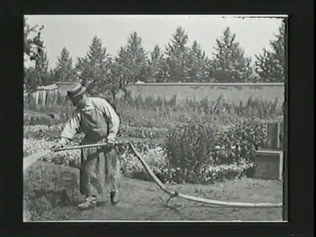 Watering The Gardener