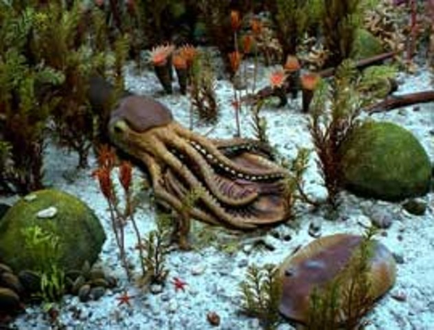 Paleozoico(Ordovícico)