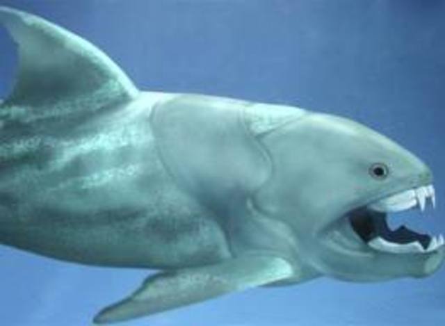 Paleozoico (Devónico)