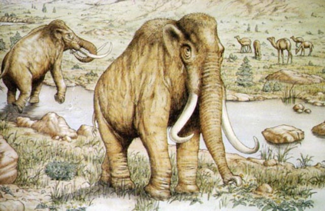 Mesozoico 	Cretácico