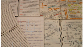 Timeline: The Writing Process