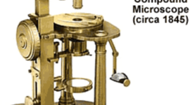 Timeline: The History of the Microscope and Cells