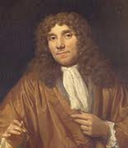 Anton van Leeuwenhoek uses to identify blood cells, insects &more
