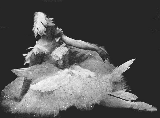 Has Anna Pavlova done lead rolls