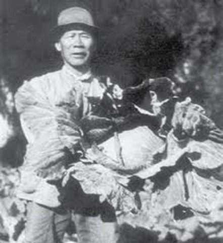 An influx of Chinese miners meant