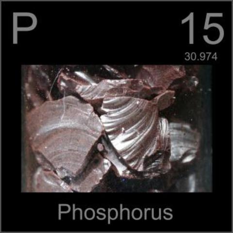 1669 - Phosphorus (P)