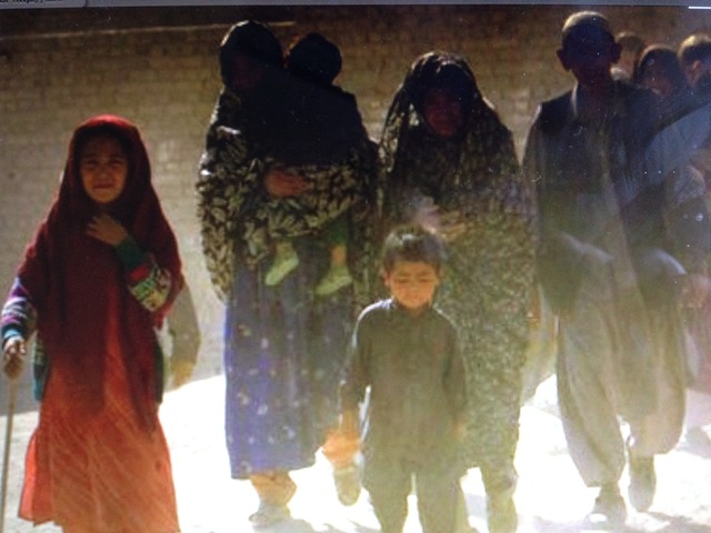 294 Refugees arrived in 2005