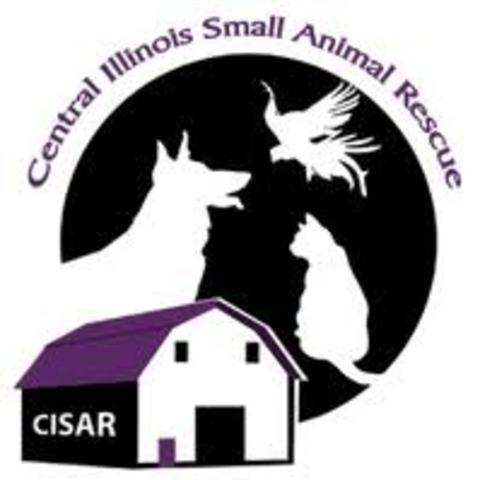 We got Tyson at the shelter in bloomington, Illinois named Ciser