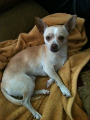 Additional family member