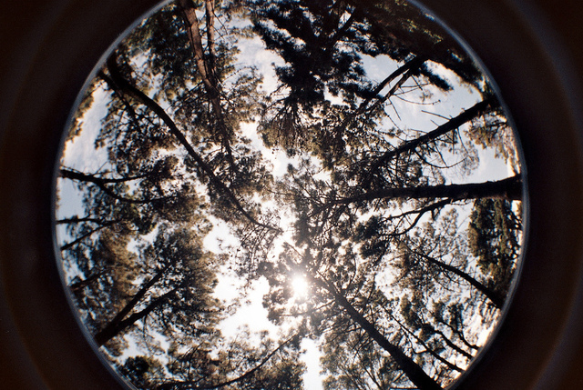 Chinese spacecraft docks with orbiting module