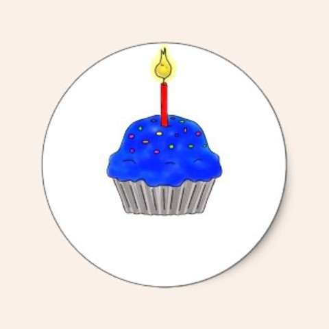 Brendan's first birthday