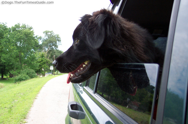 Tyson's first car ride