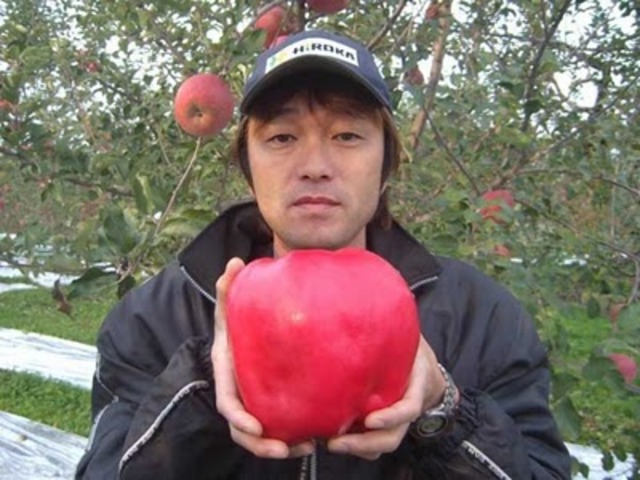 Heaviest apple