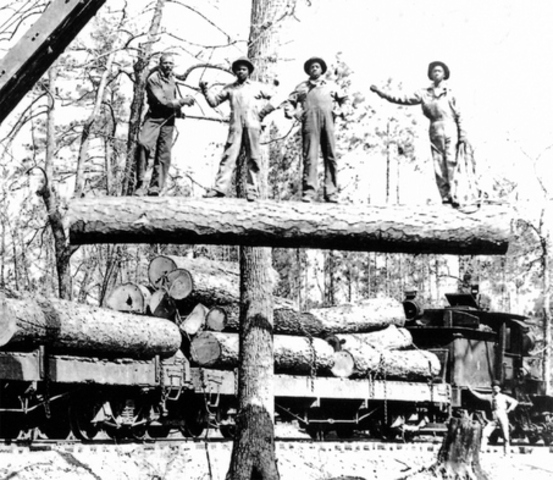 Roles of African Americans