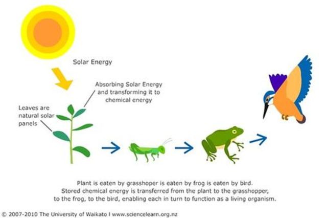 Chemical energy discovered