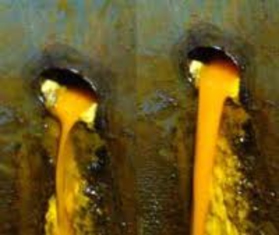 Oil was extracted from corn for the First time