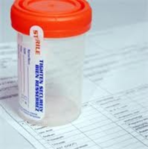 VERNONIA SCHOOL DISTRICT v. ACTON