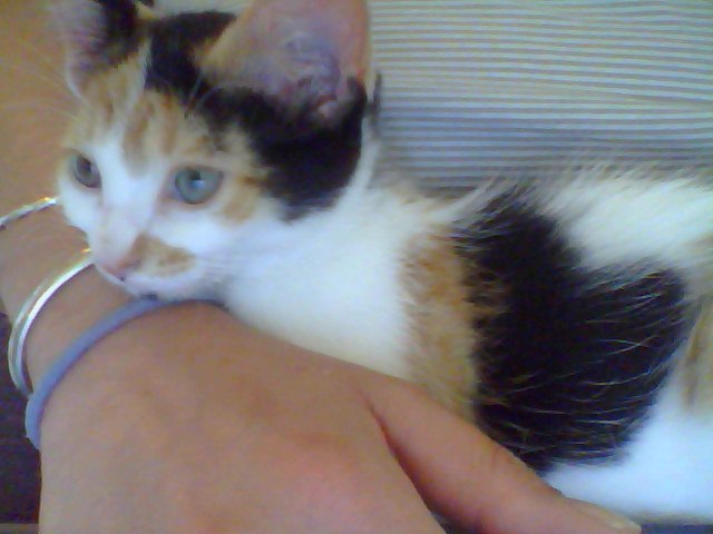 Maiden making work a little harder to do.