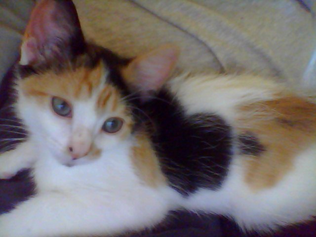 What, you were trying to work here?