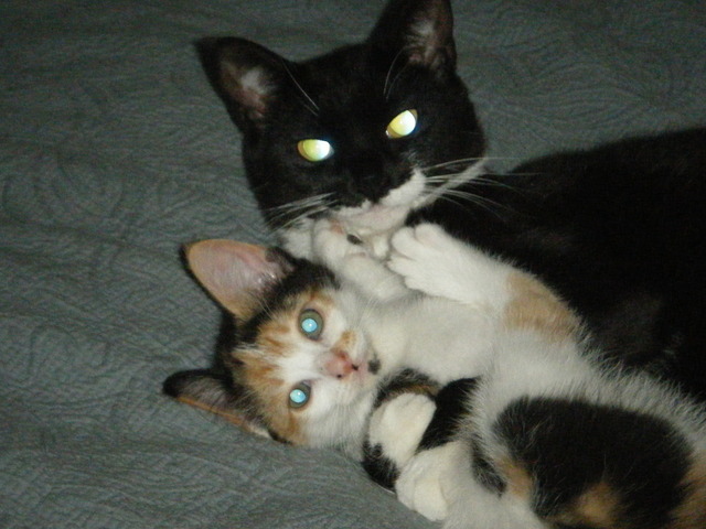 Maiden and Dio doing what they do best.