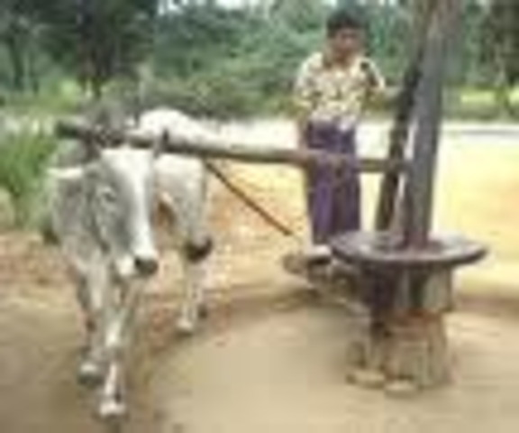 3000 BC. Mules first used for transporting cargo in the Middle East. One of the first energy sources was animal power.