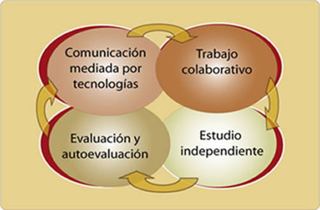 el estudio independiente guiado