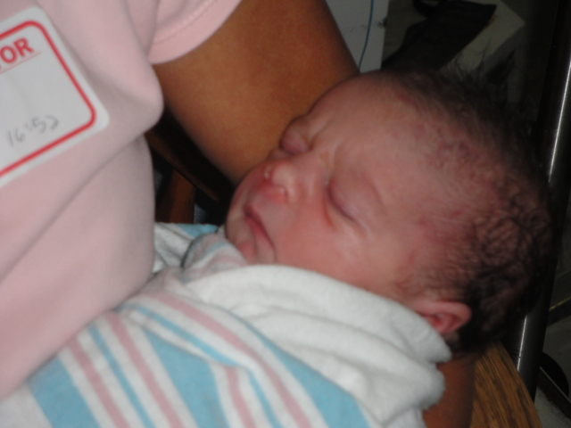 Ava Rose Nies was born.