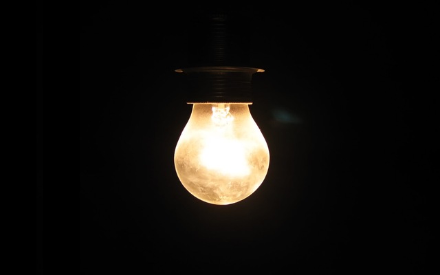 Electric Light Bulb