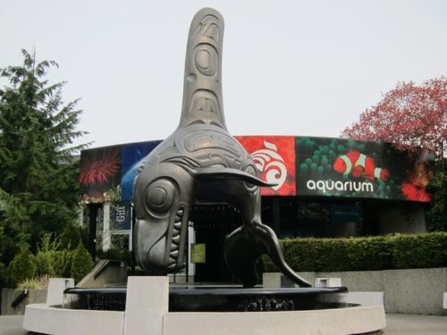 My Job In University