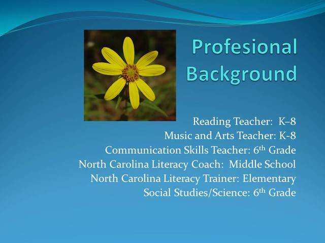 Professional Background