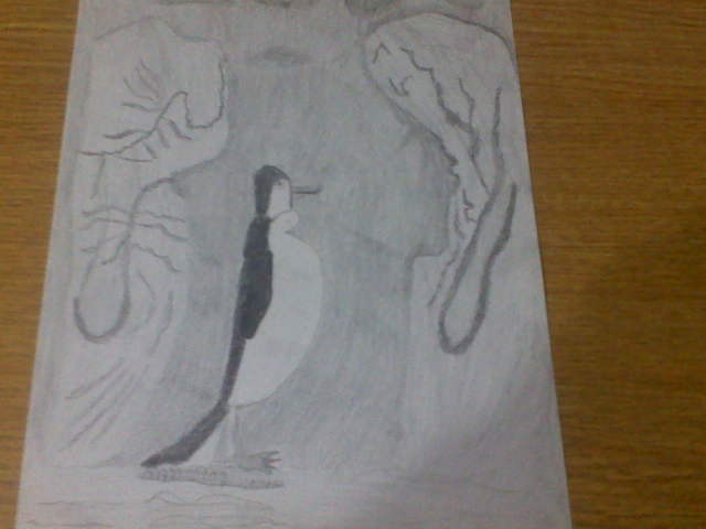 otro sombreado completo