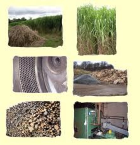 The capacity to generate electricity from biomass (not including municipal solid waste) reached 6 gigawatts. Of 190 biomass-fired, electricity-generating facilities, 184 were nonutility generators, mostly wood and paper
