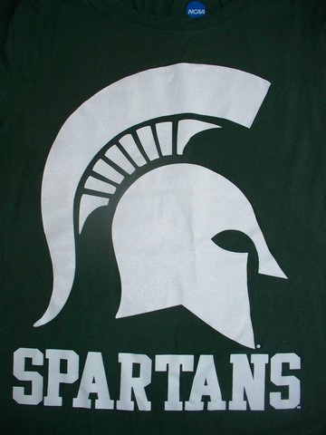 Michigan State University Undergrad