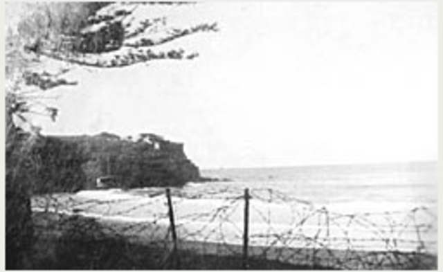 The bombardment of Newcastle