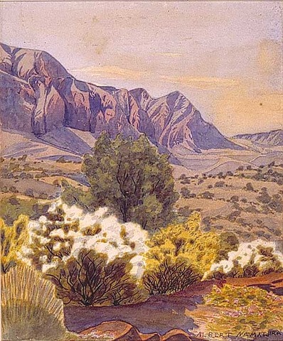 Albert went to Alice Springs hospital