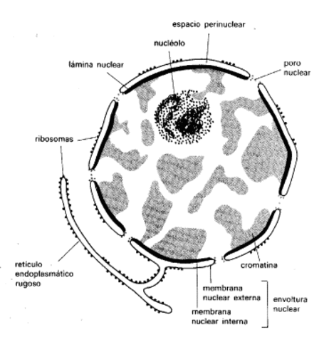 Descubrimiento Existencia Constante