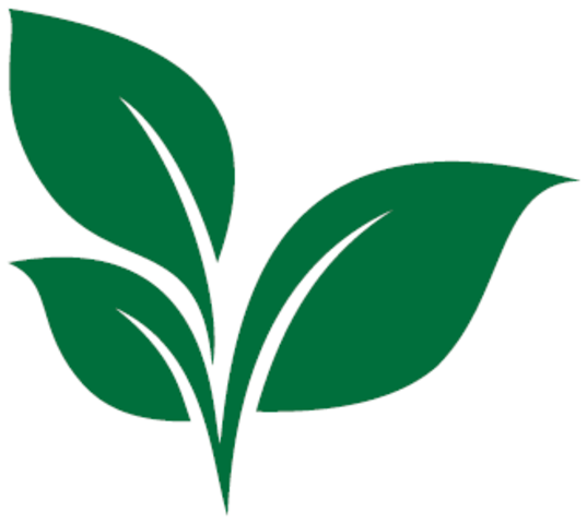 The Chatham Green Project Begins