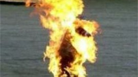 Timeline: jotavious timeline